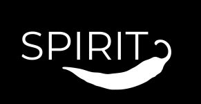 logo spirit